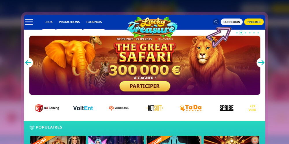 Cliquez sur le bouton «Connexion»